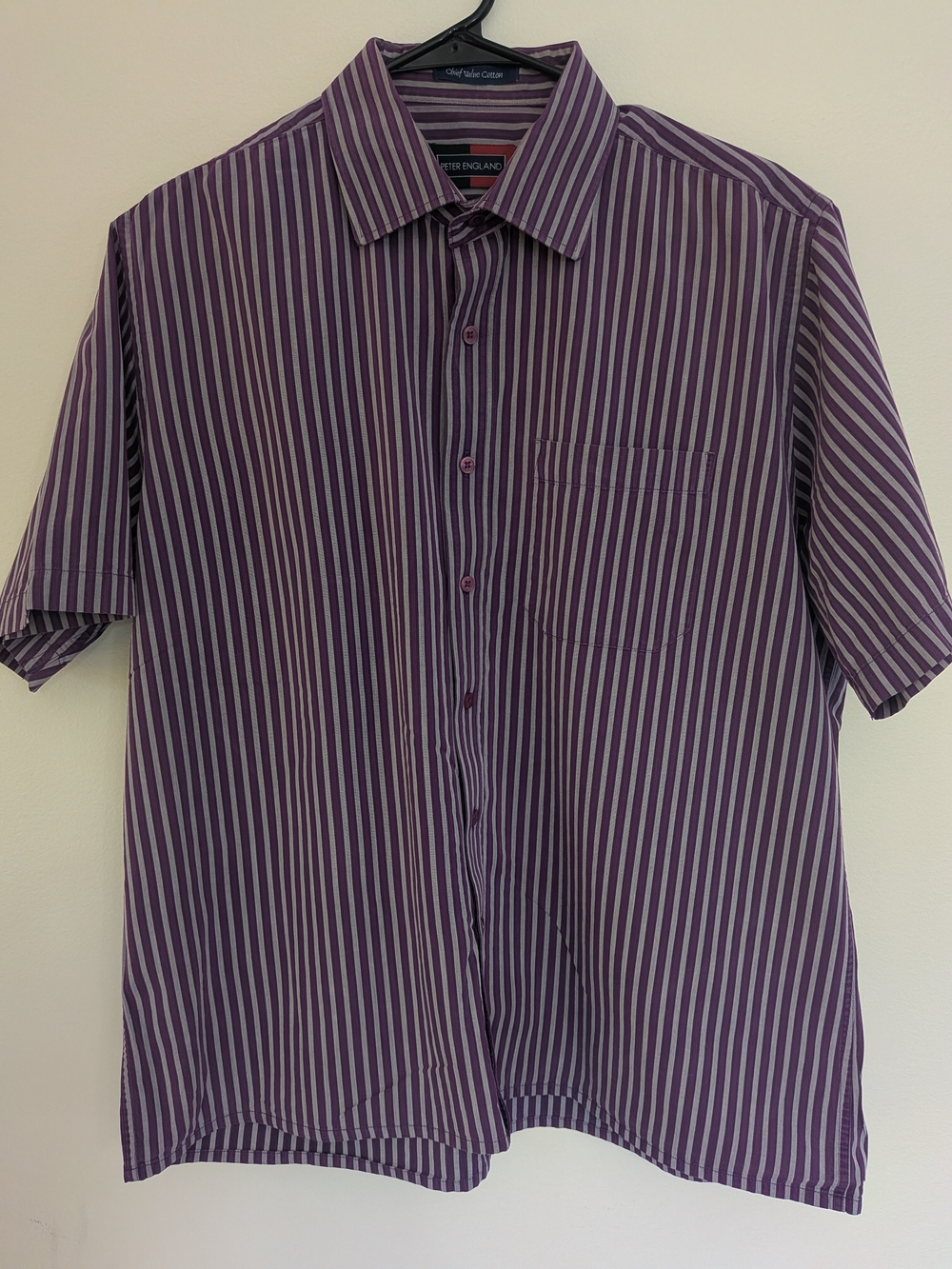 Peter England Purple and White Button Down Vertical Stripe Short-Sleeve Shirt